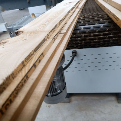 MJ400 Automatische Horizontale Bandsäge für Quadratholzschneiden 380mm Förderbandbreite